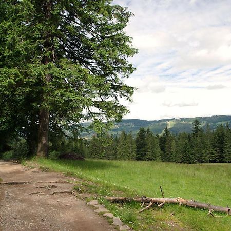 udanypobyt Domek SEKRET Zakopane Dış mekan fotoğraf