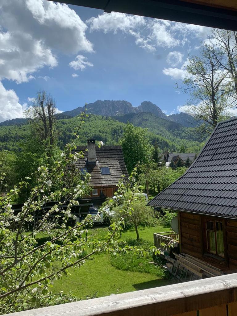 udanypobyt Domek SEKRET Zakopane Dış mekan fotoğraf