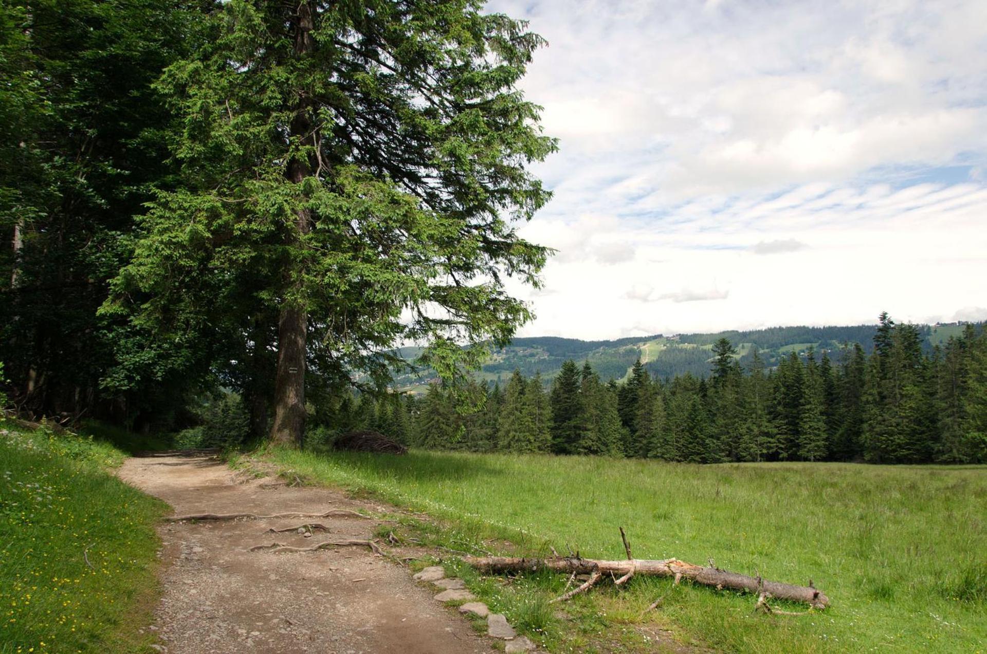 udanypobyt Domek SEKRET Zakopane Dış mekan fotoğraf